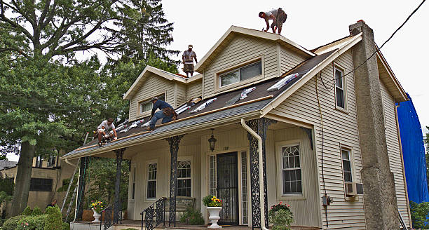 Best Roof Gutter Cleaning  in Lake Kiowa, TX